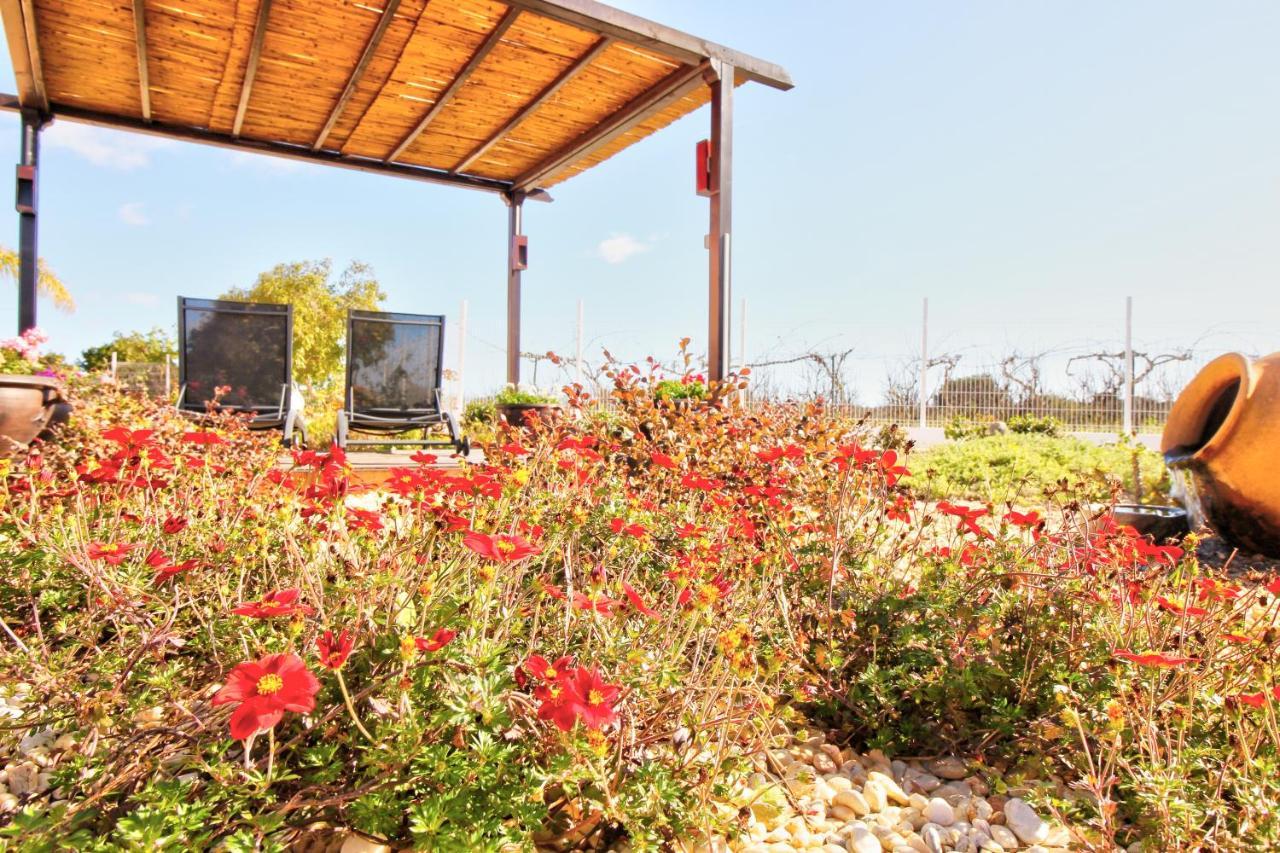 Amadeus Villa مونكاراباشو المظهر الخارجي الصورة
